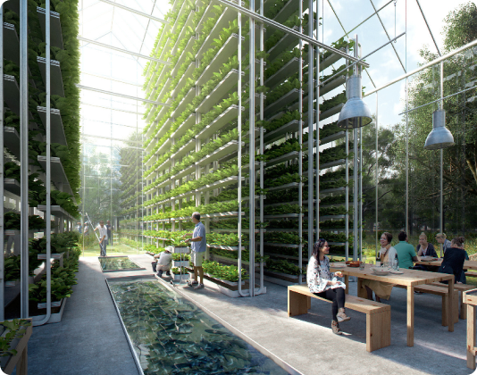 Recreation Sustainability