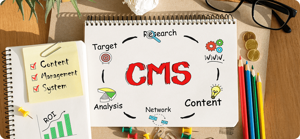 CMS Development
