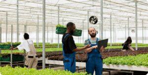 Agricultural Change: How I.Q. Technologies supports Contemporary Farming