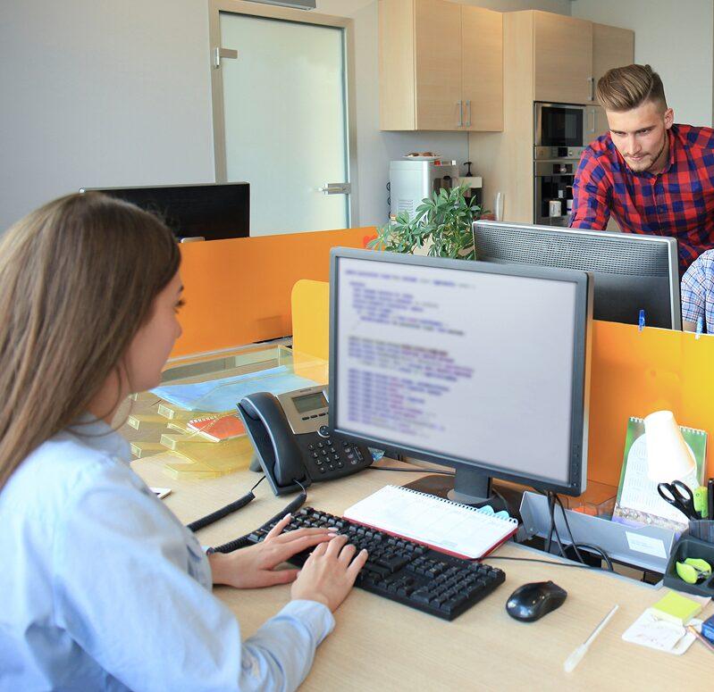 Professional Web Development Services Intended to Support Your Development